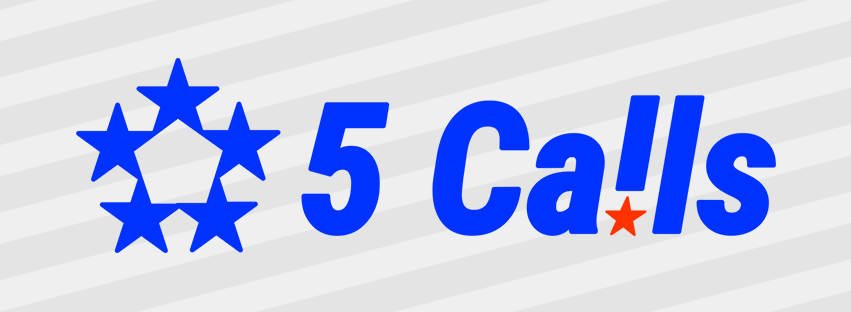 5 Calls logo